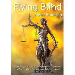 Flying Blind: How the Justice System Perpetuates Crime