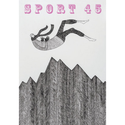 Sport 45: New Zealand New Writing 2017