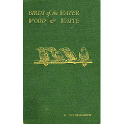 Birds of the Water Wood & Waste