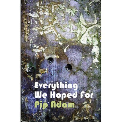 Everything we Hoped for, by Pip Adam (Fiction & Literature)