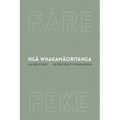 Ngā Whakamāoritanga